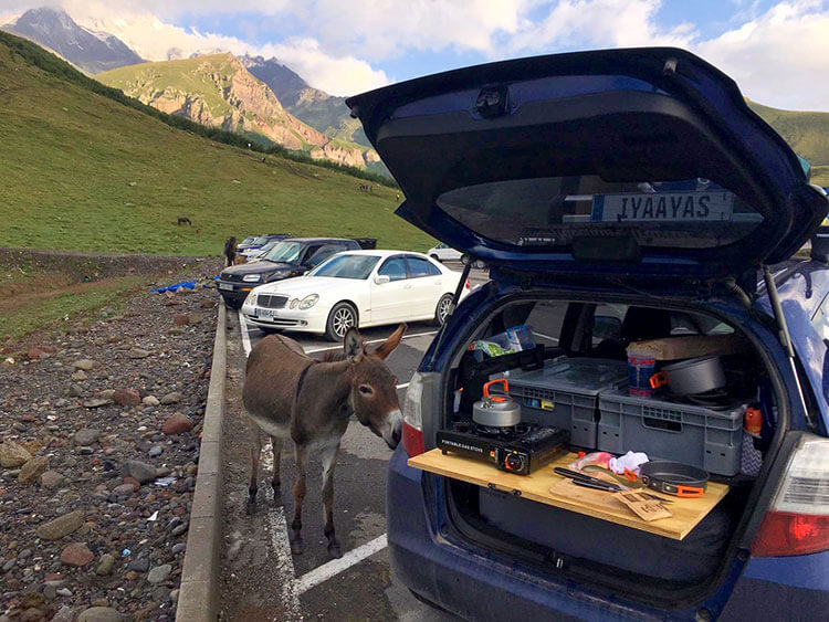 A donkey comes to check out what Tim's cooking for breakfast in Georgia