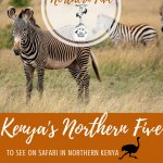 Kenya's Northern Five Pinterest Pin It For Later