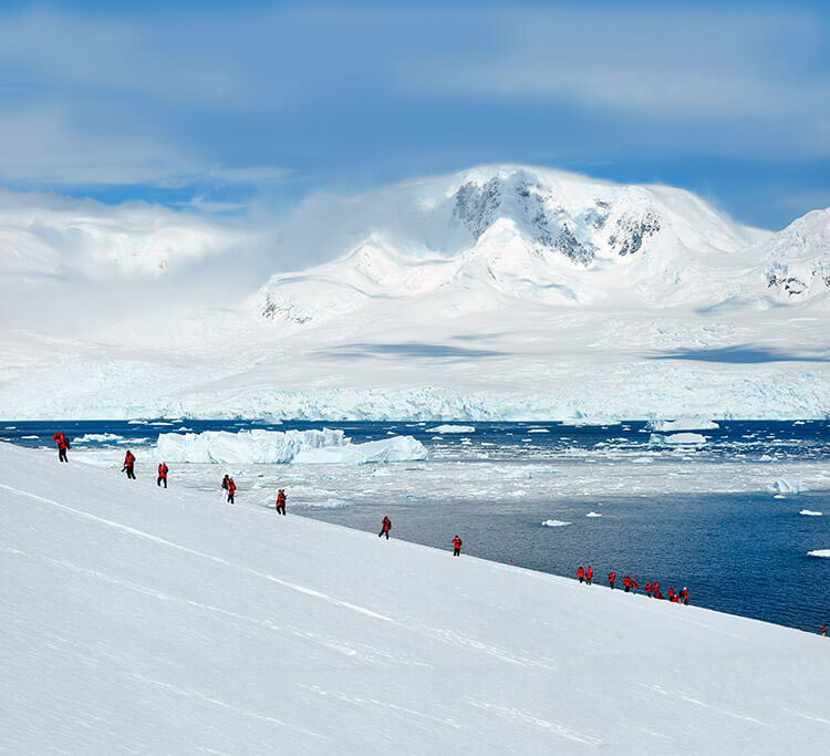 Passengers go for a hike on the Antarctica continent with icebergs floating in the bay below them