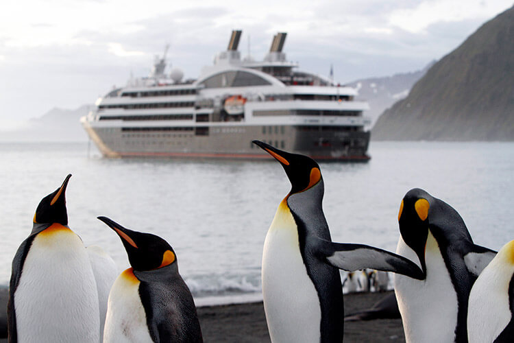Emperor penguins on the beach in Antarctica with the Ponant ship in the background