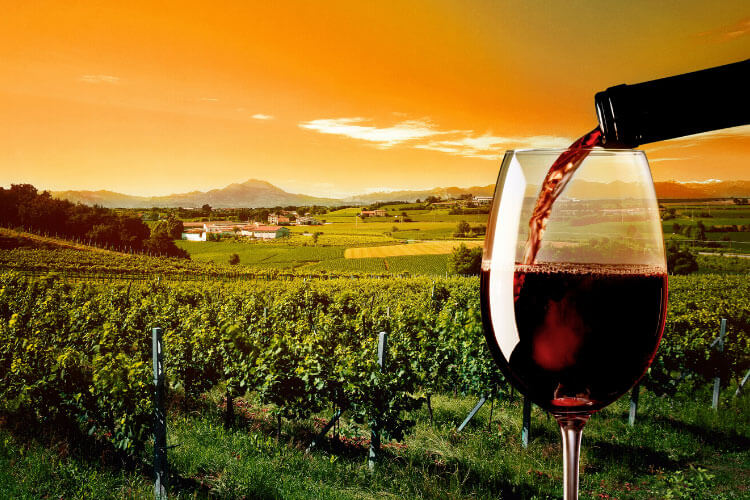 Wine being poured in to a glass with the Mendoza vineyards behind at sunset and the mountains in the distance