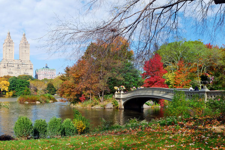 The cast iron Bow Bridge crosses over the lake in NYC's Central Park