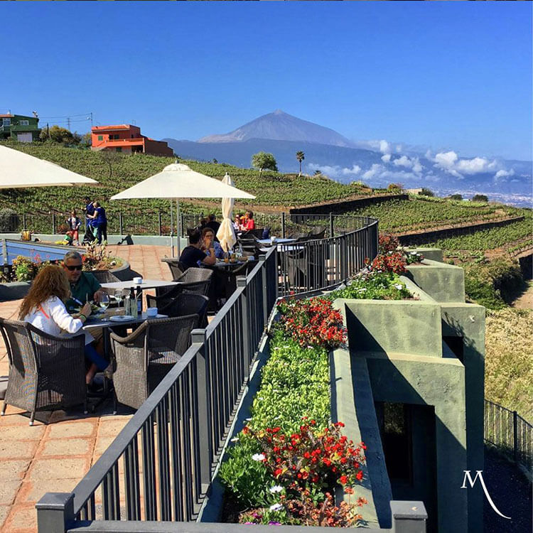 Several visitors sit at the tables on the terrace restaurant at Bodegas Monje with the terraced vineyard behind and below and Mount Teide visbile in the distance