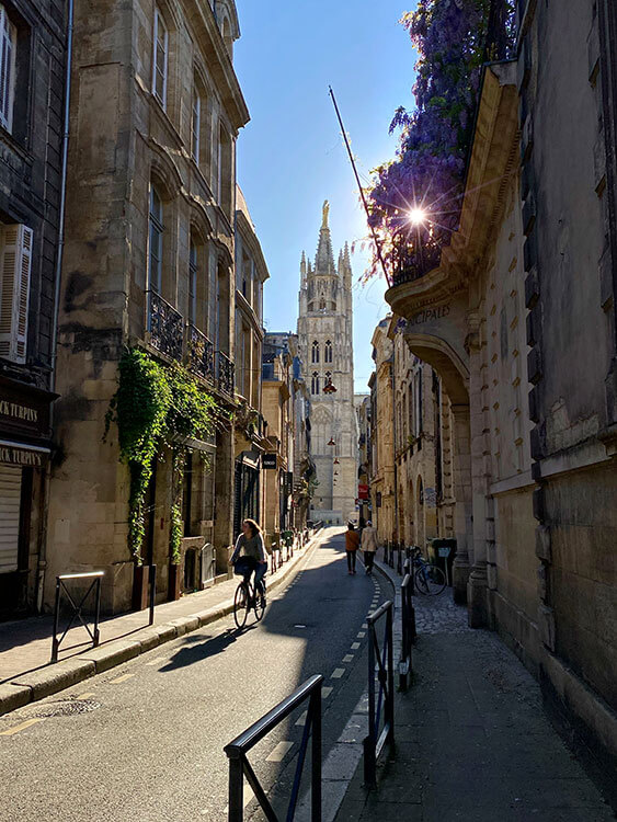 The sun shines through a giant wisteria vine atop a building on a street in Bordeaux