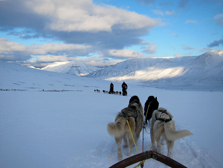 We're third in train of sled dog teams with two teams ahead of us in snowy Svalbard