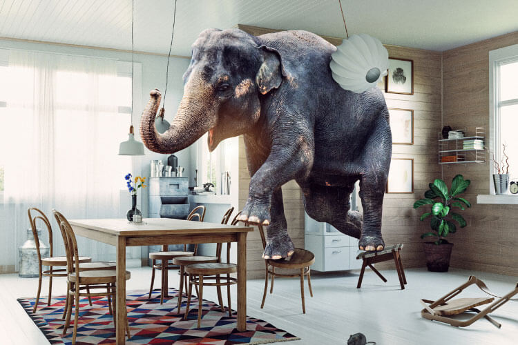 An elephant stands on chairs in a kitchen as a mouse runs across the floor