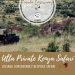 Loisaba Lodo Springs, Loisaba Conservancy, Laikipia, Kenya Pinterest Pin