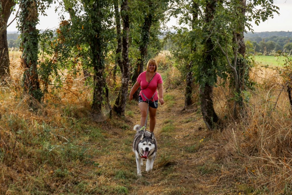 Jennifer walking through the Creuse forest with her husky on a hike with Husk'in Creuse