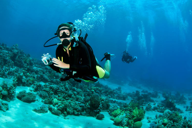A diver carries a camera in an underwater housing while diving along a coral reef