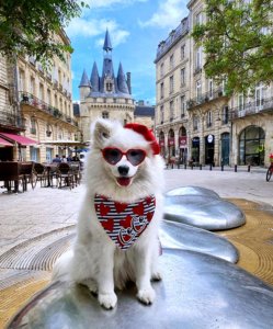Coco sits on a silver sculpture with the Bordeaux Porte Cailhau behind. Coco is wearing a black and white striped bandana with her name on it and a red beret.