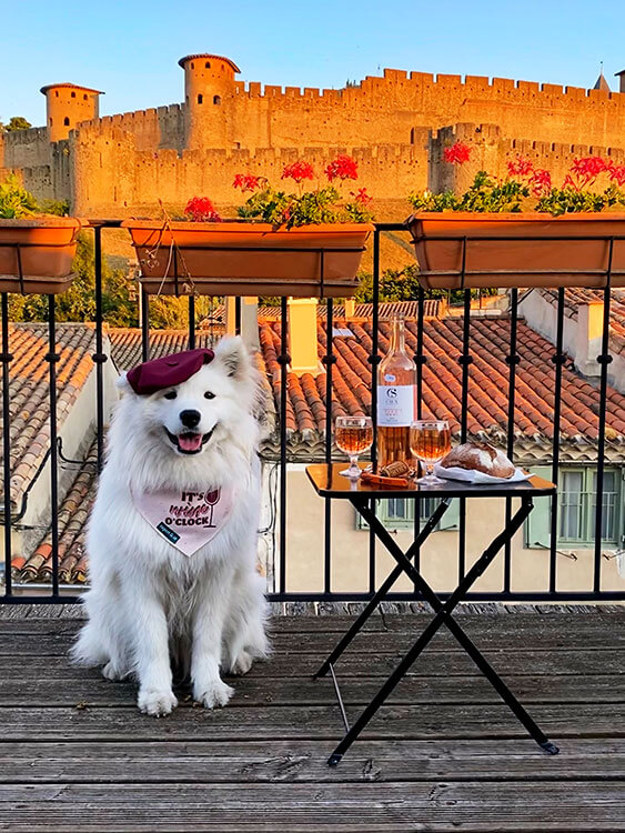 Coco wears a beret and a bandana while sitting next to a table with wine, bread and cheese with the medieval city of Carcassonne behind