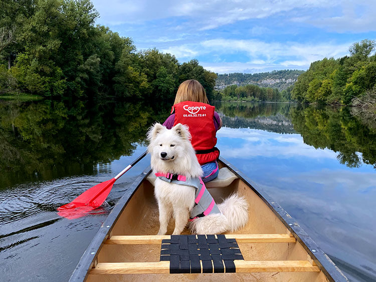Coco sits behind Jennifer in a canoe while canoeing on the Dordgone River in France