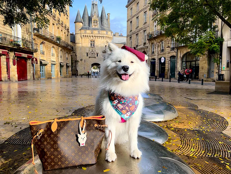 Coco poses with her Samoyed bag charm on a Louis Vuitton neverfull