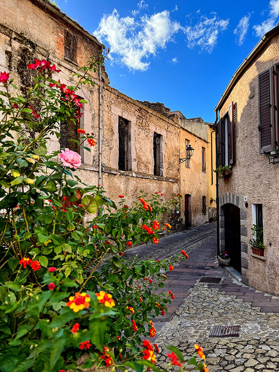 Colorful flowers on a cobbled street in Laconi, Sardinia