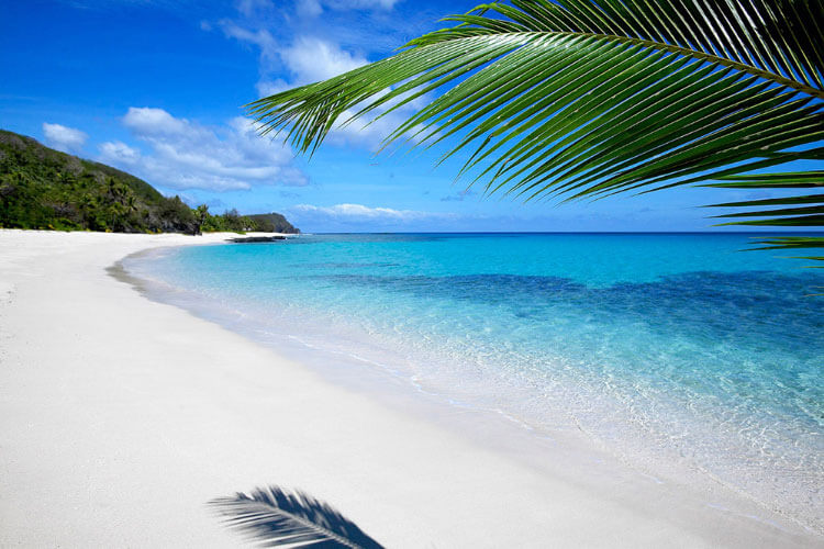 A palm tree casts a shadow on a white sand beach in Fiji