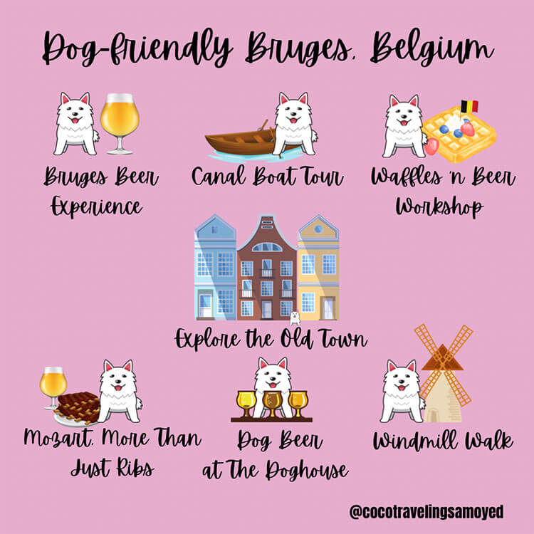 Graphic with the various things to do in Bruges, Belgium with a dog