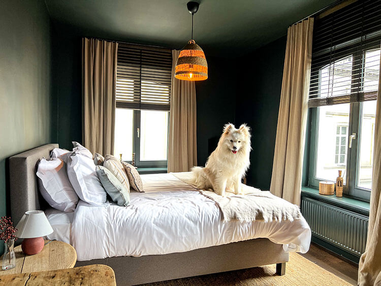 Coco sits on the bed in her room at the B&B The Bank 1869 in Bruges, Belgium