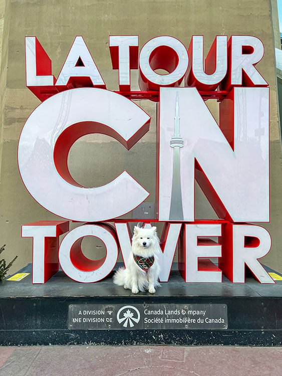 Coco poses in front of a giant CN Tower sign at the foot of Toronto's CN Tower