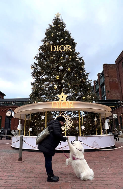 Jennifer and Coco high five in front of the Dior Christmas tree in Trinity Square at the Distillery District Winter Village in Toronto, Canada