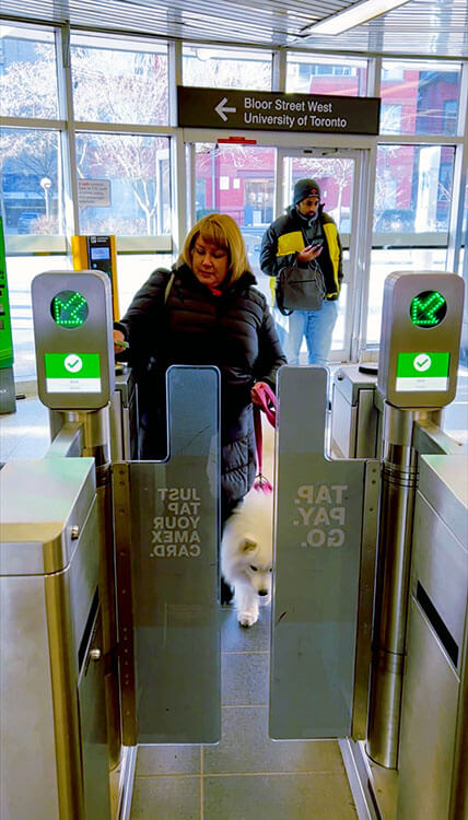 Coco walks through the subway gates with Jennifer to ride the TTC in Toronto, Canada