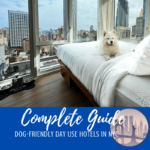 Dog-Friendly Day Use Hotels in NYC Pinterest Pin