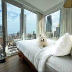 Coco lays on the bed in the Sky View King room with New York City skyline views at Arlo NoMad in New York City