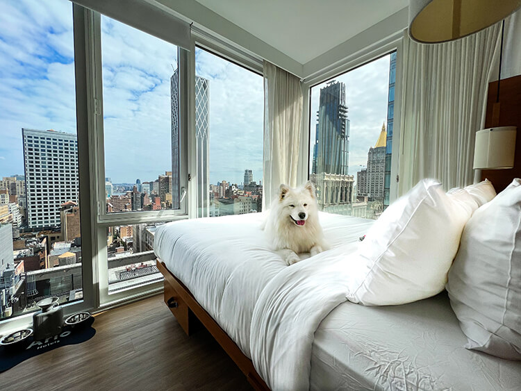 5 Day Use Hotels for Maximizing Long Layovers in NYC