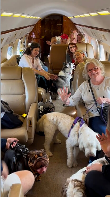 Coco and Jennifer's K9 Jets flight fully boarded with 9 dogs and 9 people