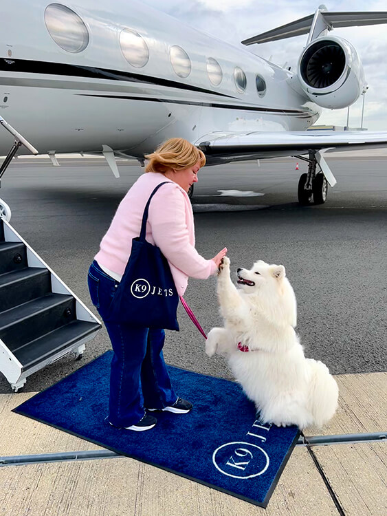 Coco gives Jennifer a high five on the K9 Jets carpet at the bottom of the stairs before boarding the jet