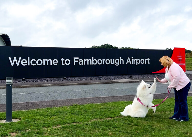 Coco gives Jennifer a high five in front of the Farnborough Airport sign before a K9 Jets flight