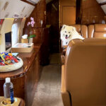 Coco sits in a seat on the private jet