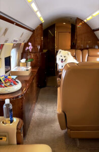 Coco sits in a seat on the private jet