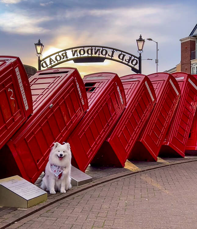 Coco poses at the Out of Order sculpture of a domino of fallen phone booths in Kingston-Upon-Thames before traveling with K9 Jets