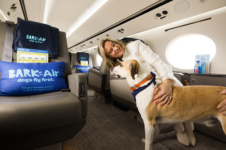 A woman sits with her dog in a Gulfstream G5 jet with BARK Air branded pillows