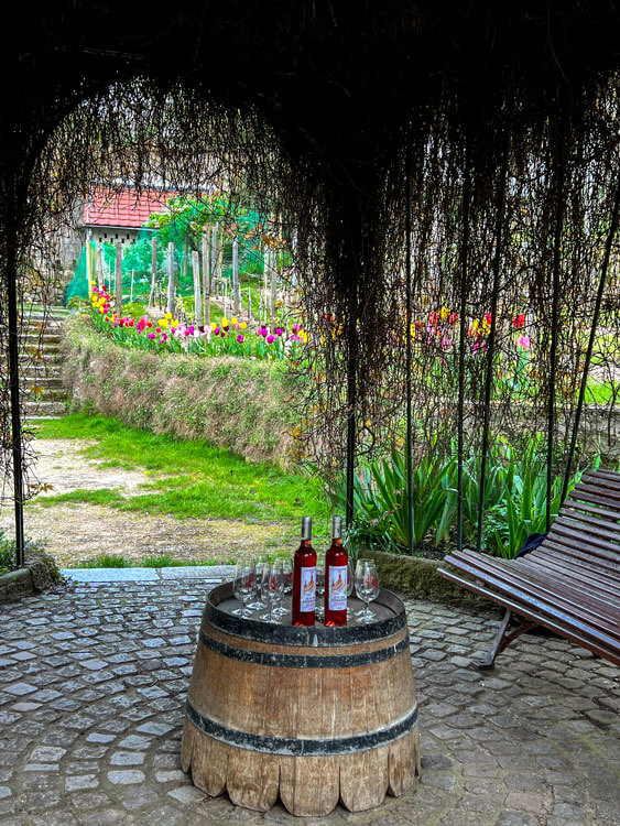 Two bottles of Clos Montmartre and wine glasses are set up for the tasting inside the arbor in the vineyard