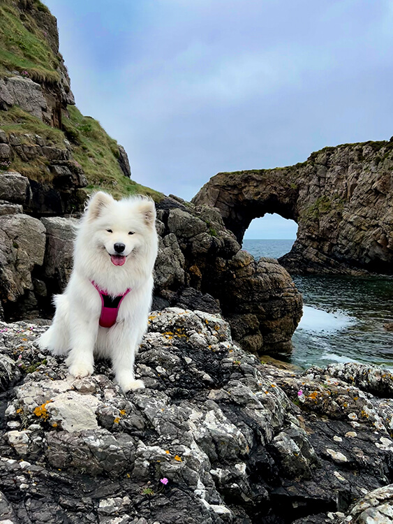 Coco sits on the rocks with the Great Pollet Sea Arch and Atlantic Ocean behind her in Donegal, Ireland