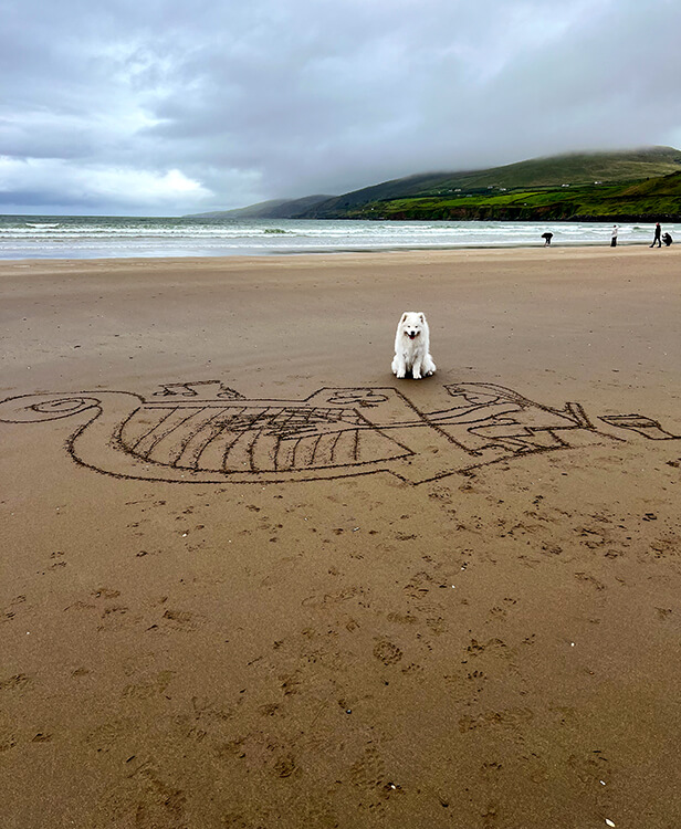 Coco sits on Inch Beach at the top of a sand drawing of a viking and viking ship on Ireland's Dingle Peninsula