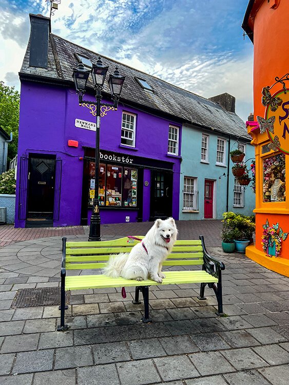 Coco sits on a colorful square with bright, multi-color shops in the center or Kinsale in West Cork, Ireland