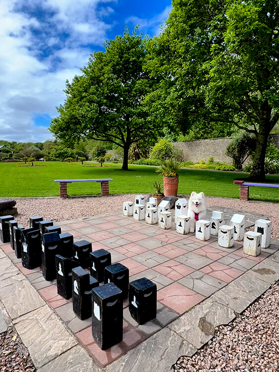 Coco sits in the white queen spot on giant chess board in the Vandeleur Walled Garden in County Clare, Ireland