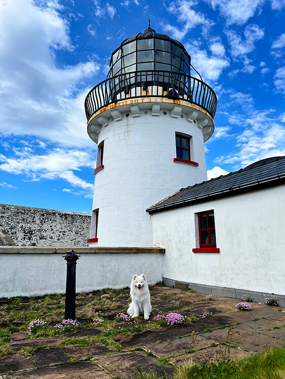 Coco sits at the base of the white lighthouse tower at Clare Island Lighthouse in County Mayo, Ireland