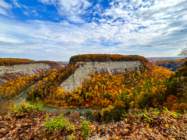 Trees in fall colors of oranges and yellows cascade down both sides of the Genessee River Gorge with the turquoise waters of the river snaking around the big bend of the canyon at Letchworth State Park