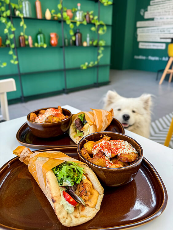 A beef and halloumi souvlaki wrap and chicken souvalki wrap with sides of spicy baby potatoes and Coco the Traveling Samoyed hoping for a bite at Kalimera Bordeaux