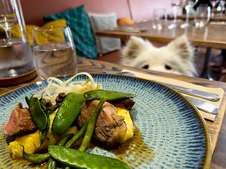 Pork tenderloin with garlic and thyme mashed potatoes, snap peas and fennel at Mets Mots
