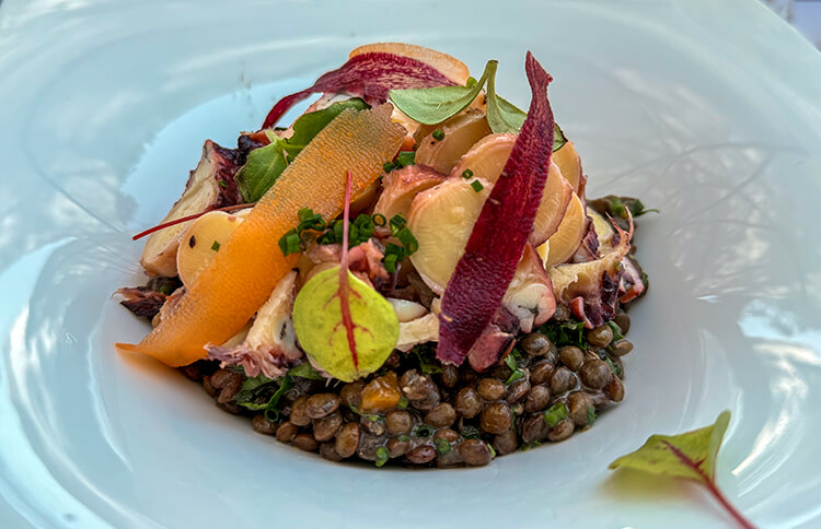 Octopus on a bed of lentils at Le Bar à Coquillages at Domaine de Rochevilaine
