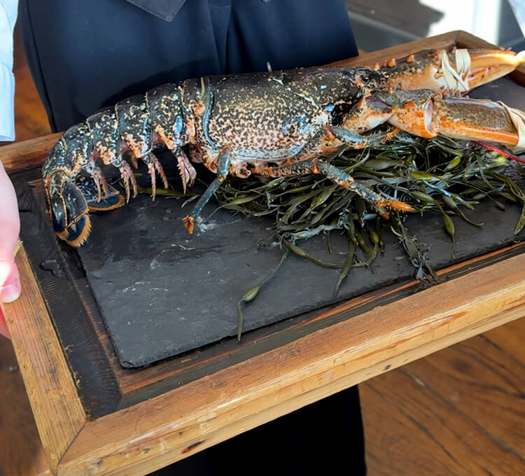 Our live Breton blue lobster being presented on a cutting board at the restaurant at Domaine de Rochevilaine