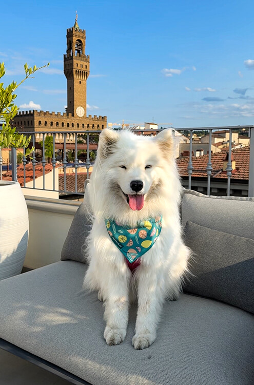 Coco sits on the couch on the rooftop at Hotel La Gemma with a view of Palazzo Vecchio behind her