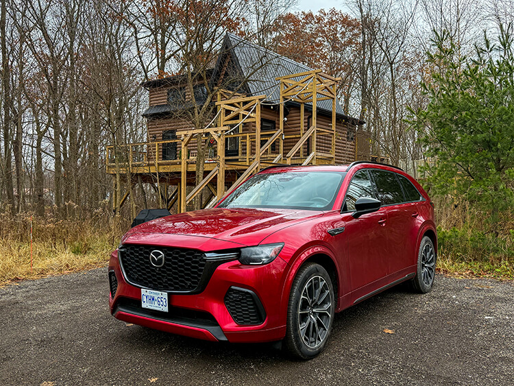Each treehouse has convenient parking and is easily accessible as long as you can climb a flight of stairs