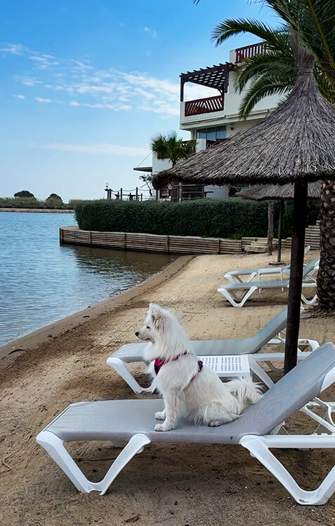 Hotel L'Île de la Lagune has a small private beach