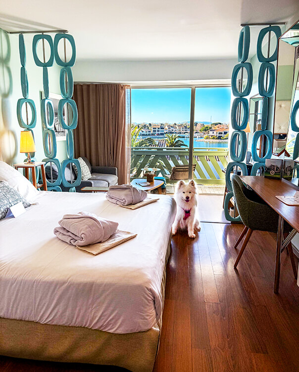 Coco sits near the king size bed in our deluxe room at Hôtel L'Île de la Lagune in Saint-Cyprien, France
