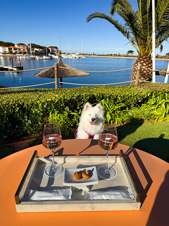 Hotel L'Île de la Lagune has a beautiful garden overlooking the lagoon